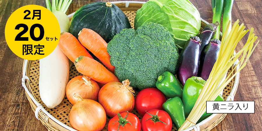 野菜のカゴ盛り写真